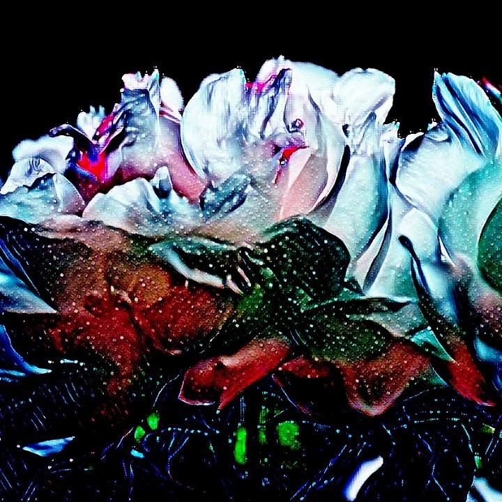 37colorfulwhitepeonies2