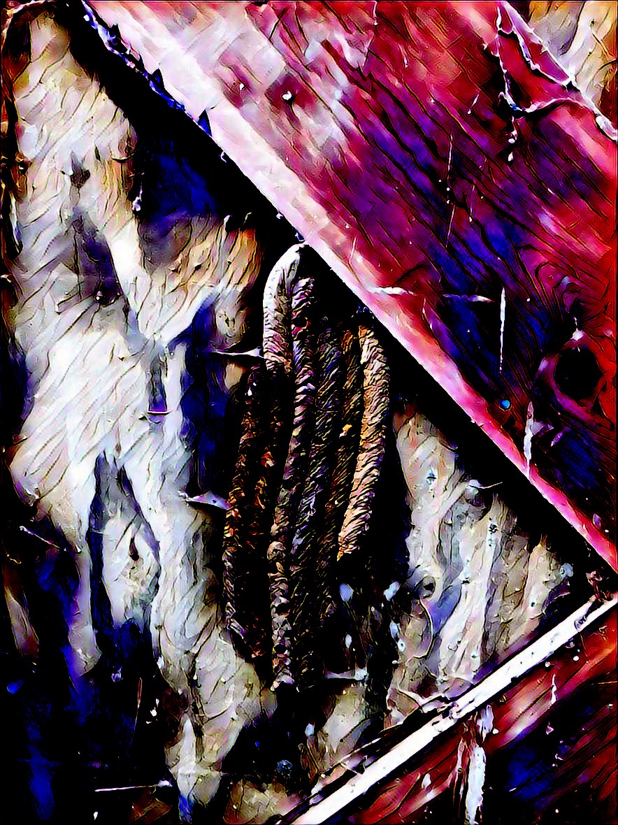 PicsArt_03-19-08.51.09