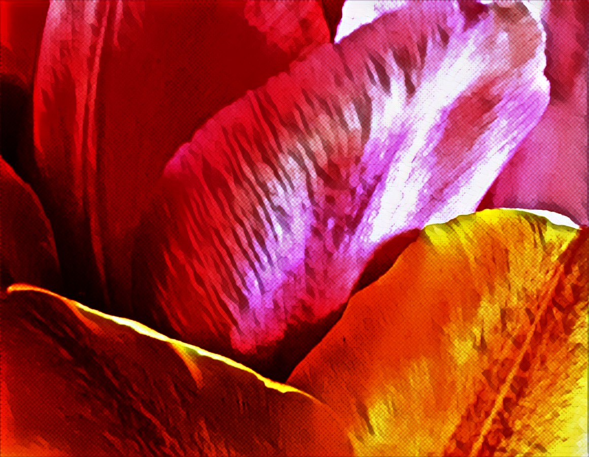 PicsArt_04-04-08.18.16