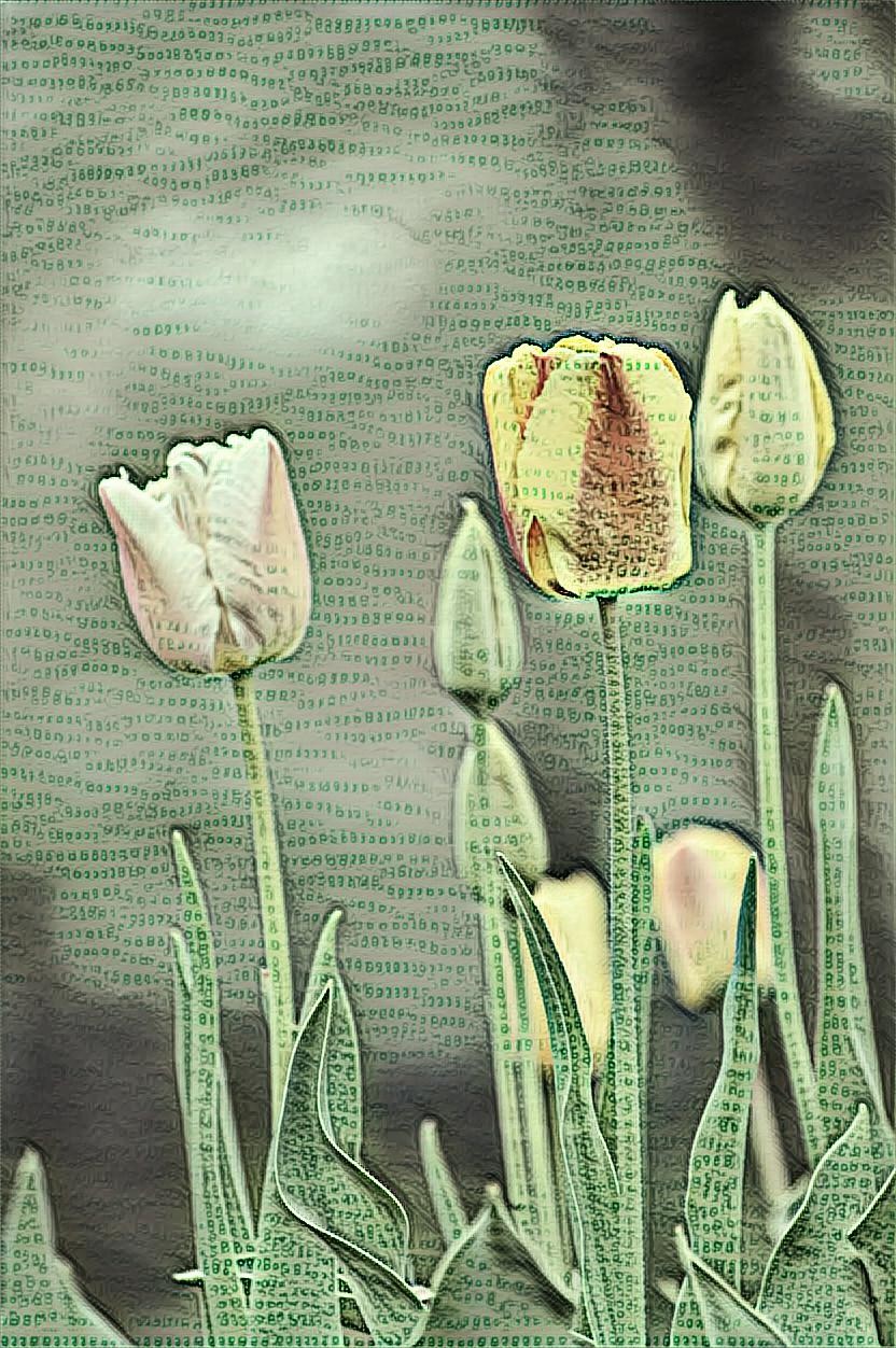 PicsArt_04-06-08.19.39