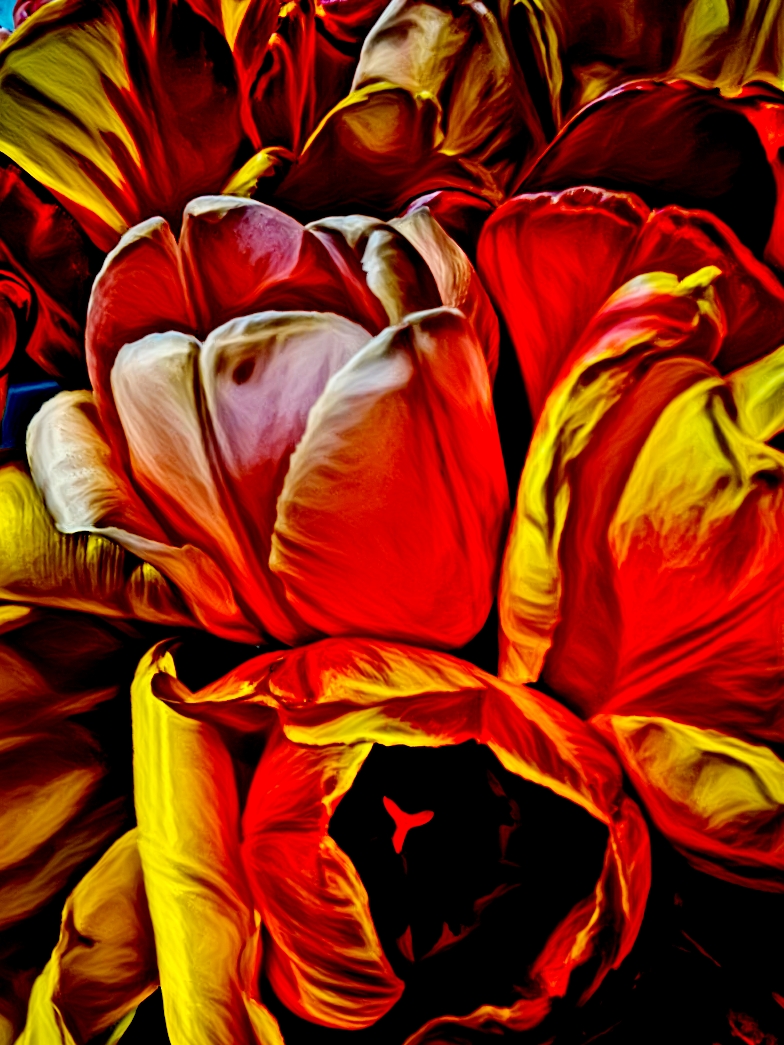PicsArt_04-12-03.21.57