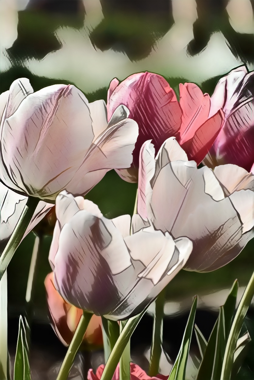 PicsArt_04-14-10.37.22