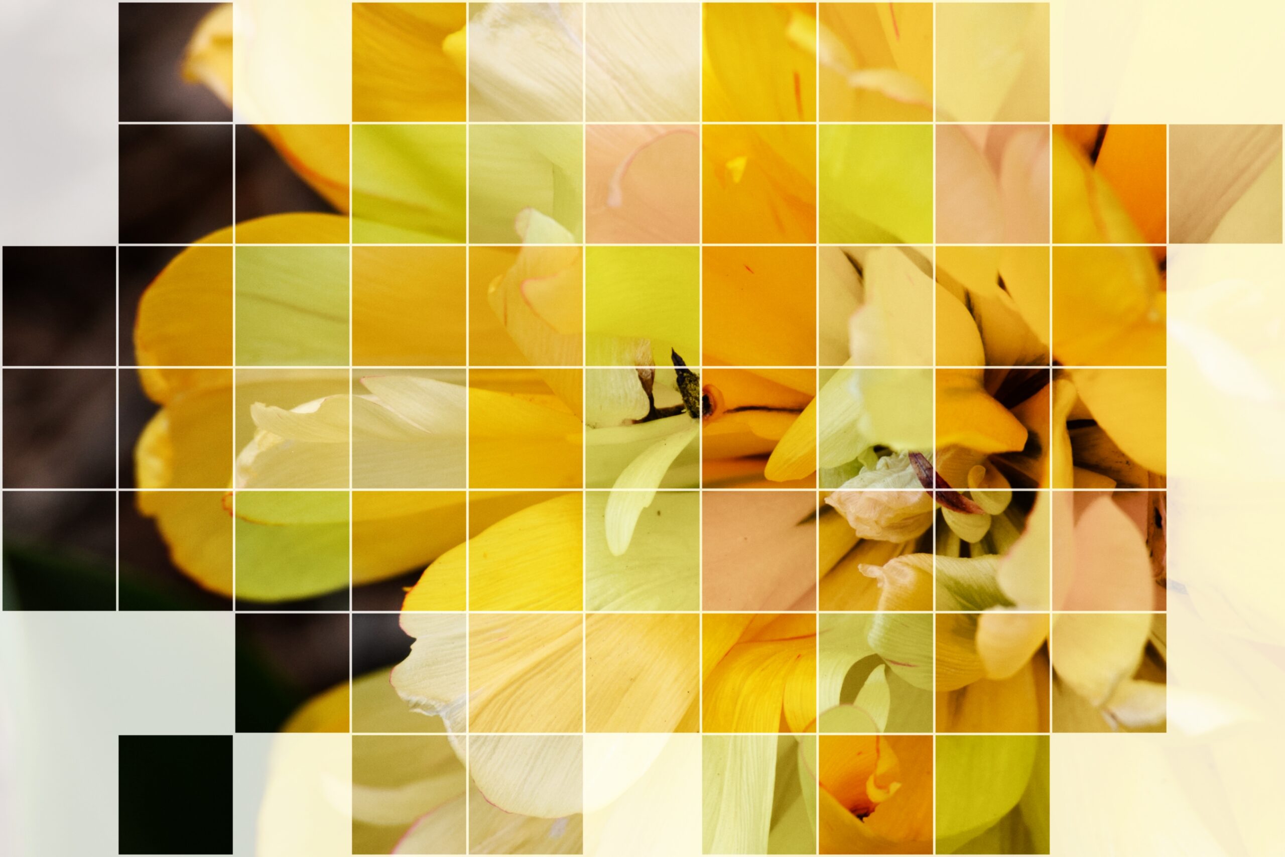 PicsArt_05-01-01.38.28
