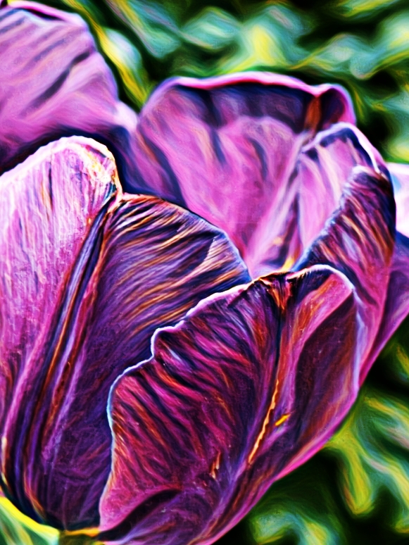 PicsArt_05-06-08.11.37