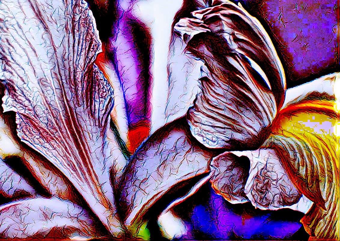 PicsArt_05-08-07.47.50