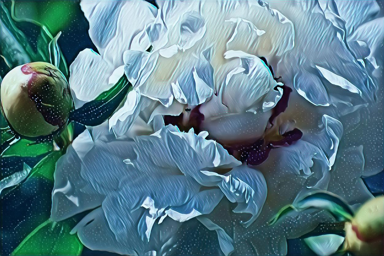 PicsArt_05-11-03.55.39