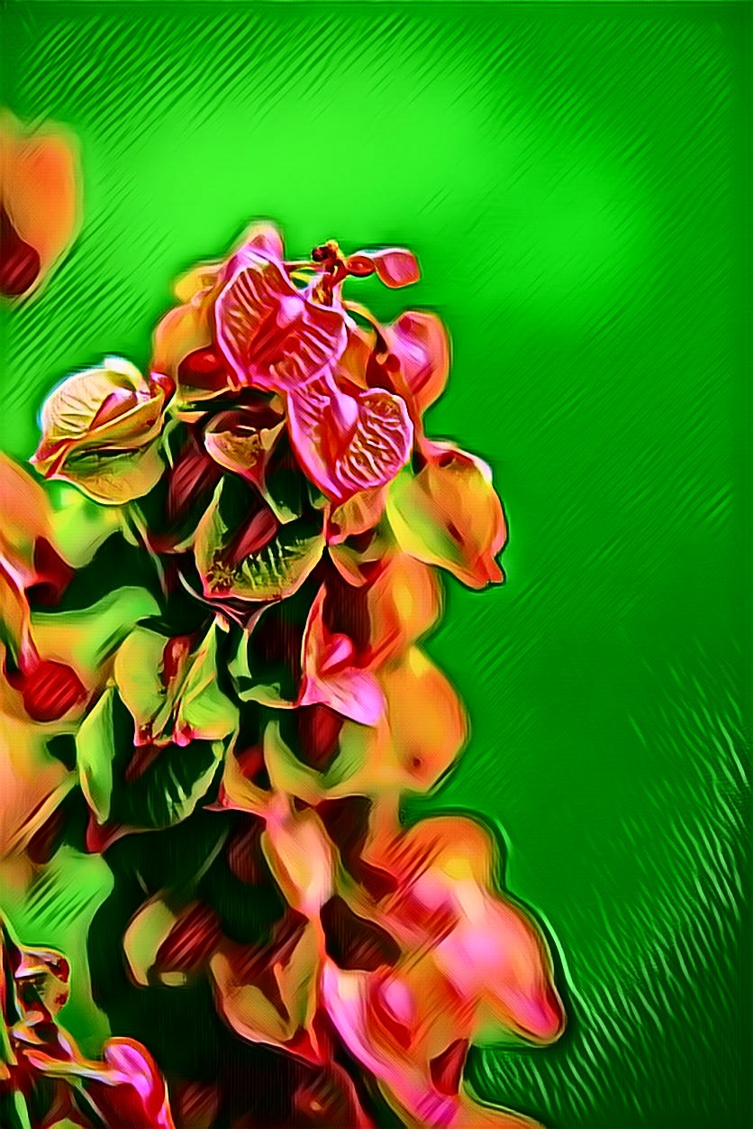 PicsArt_05-20-07.05.20