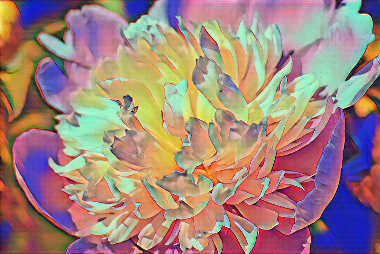 PicsArt_06-02-08.32.15