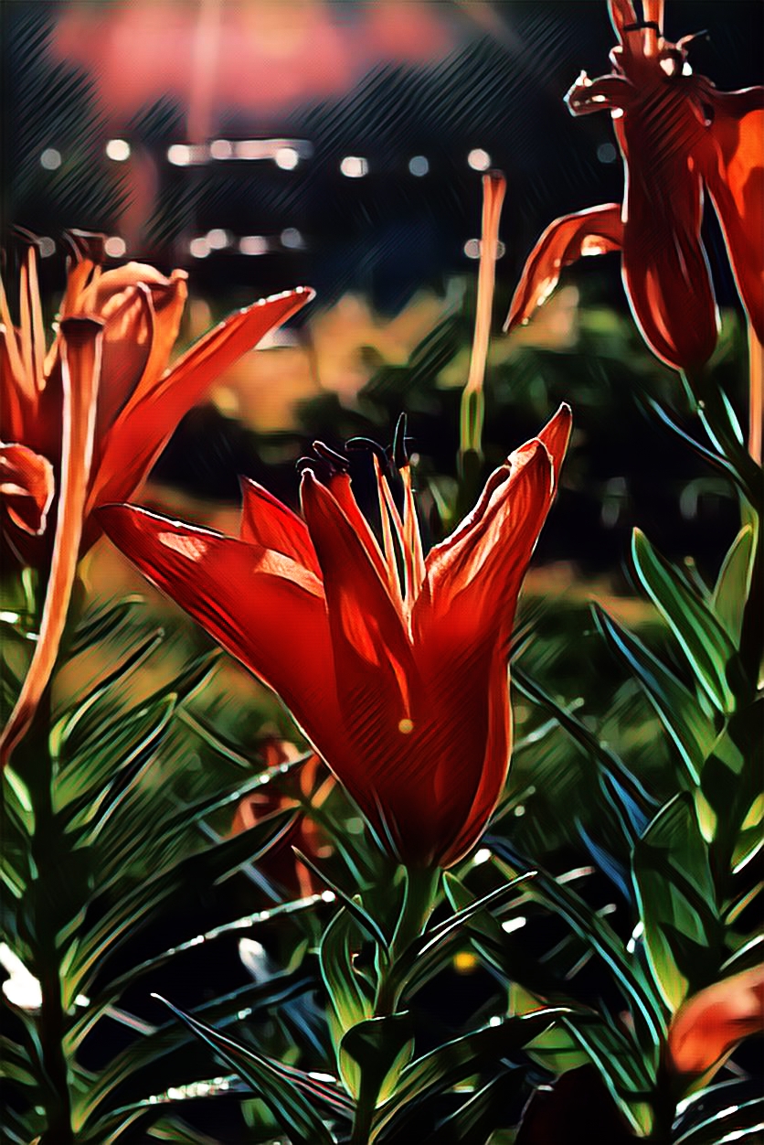PicsArt_06-22-02.51.54