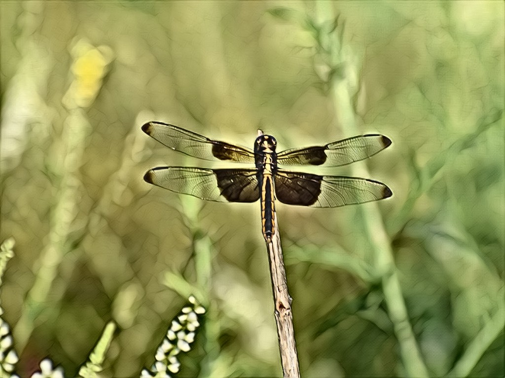 PicsArt_06-26-07.48.48