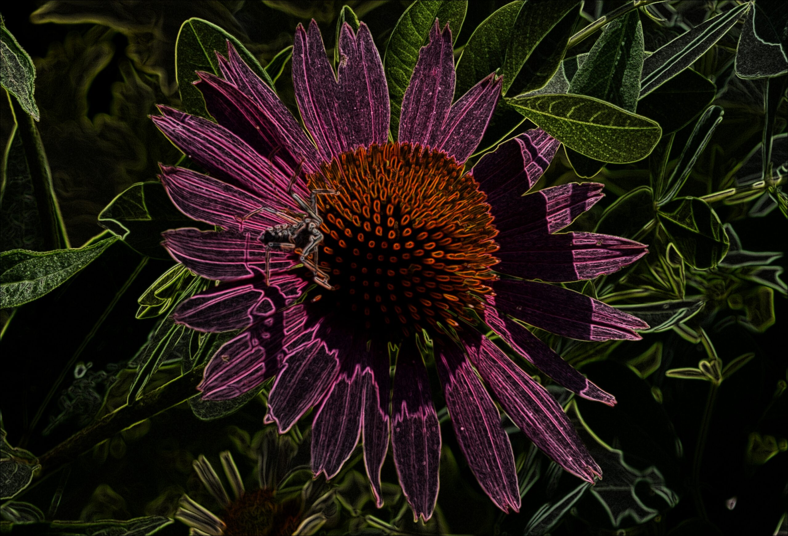 PicsArt_07-18-10.17.19