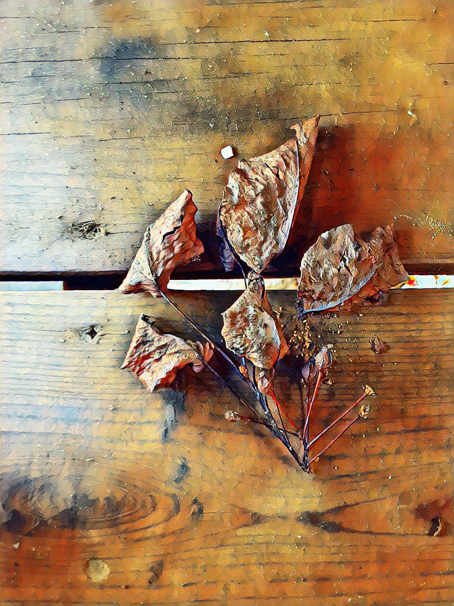 PicsArt_08-14-01.12.13