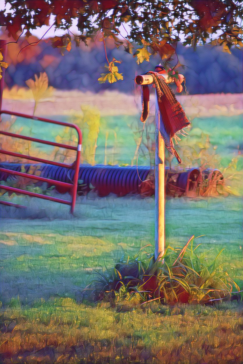 PicsArt_10-12-10.19.49