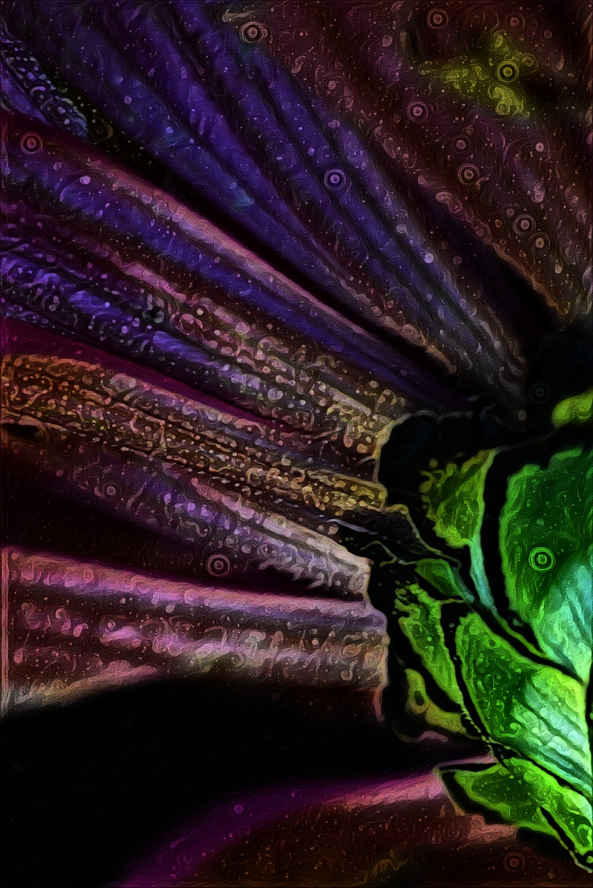 PicsArt_10-29-10.59.31