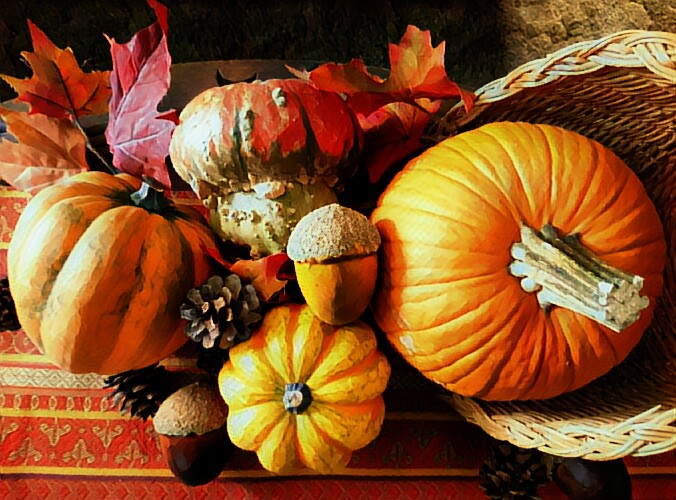 PicsArt_11-23-11.48.22