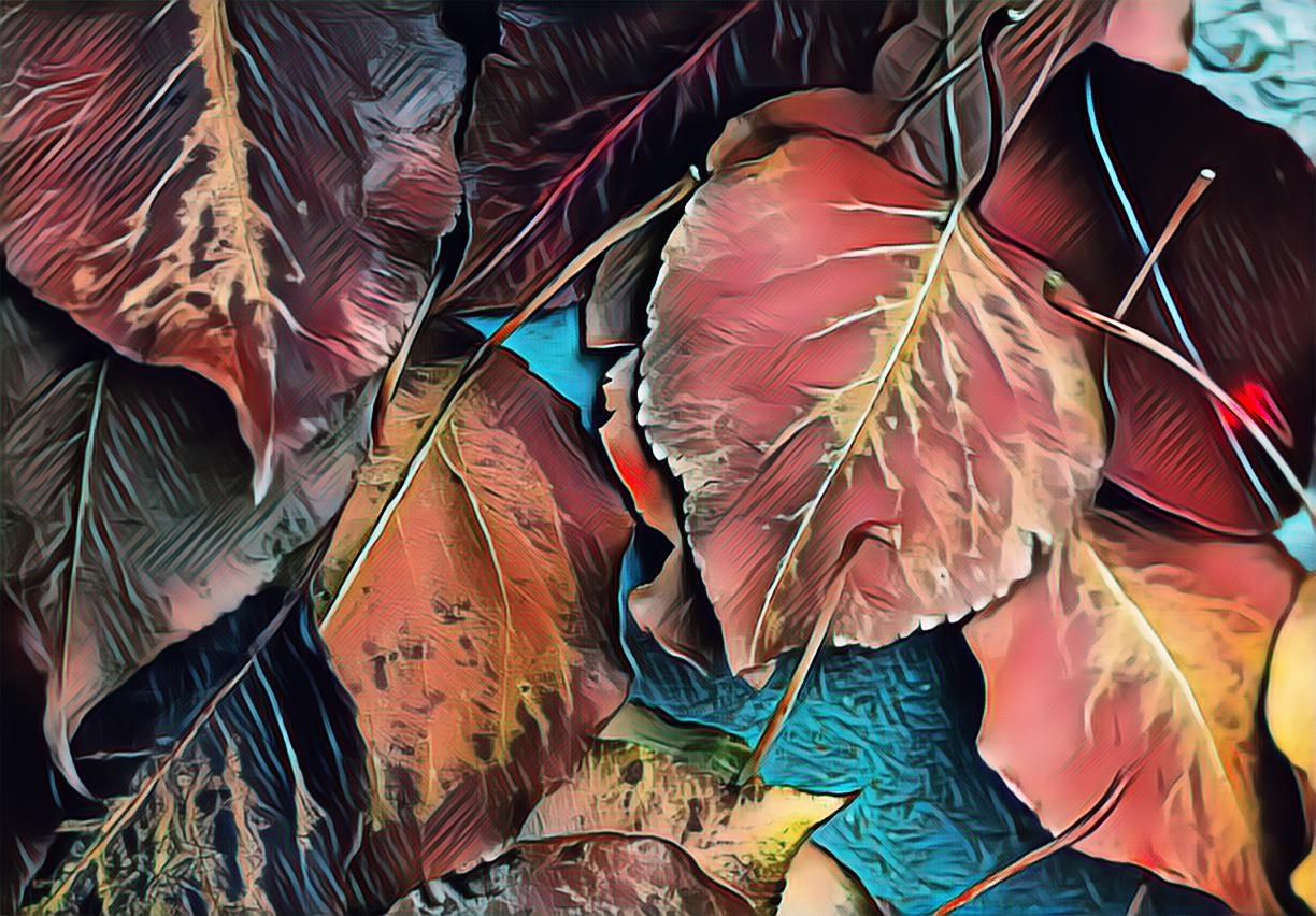 PicsArt_12-11-09.01.53