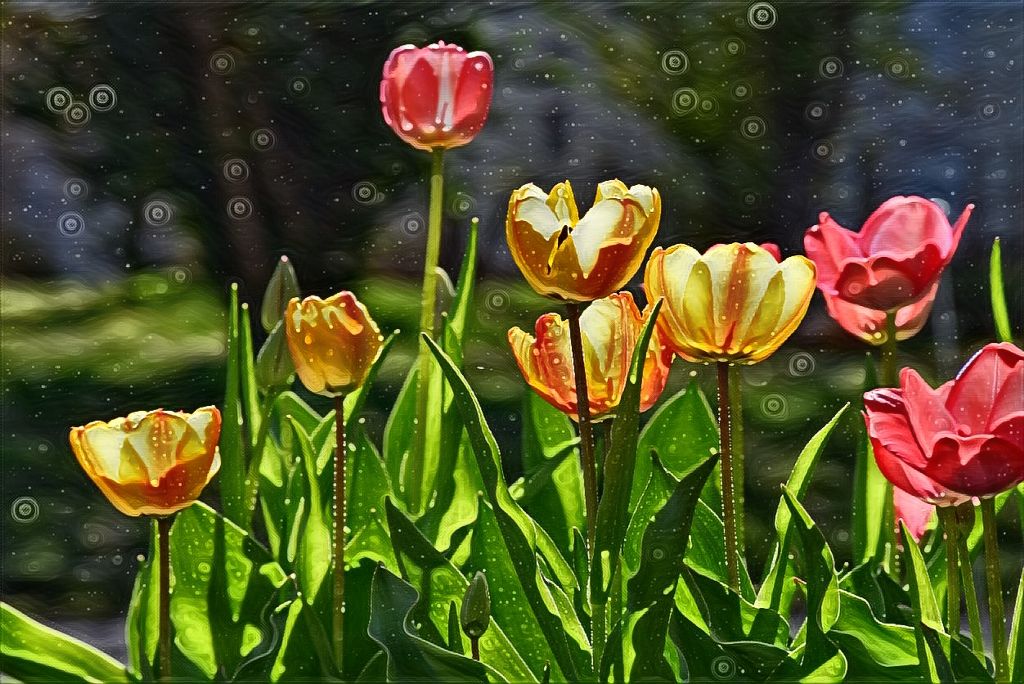 PicsArt_swirlytulips