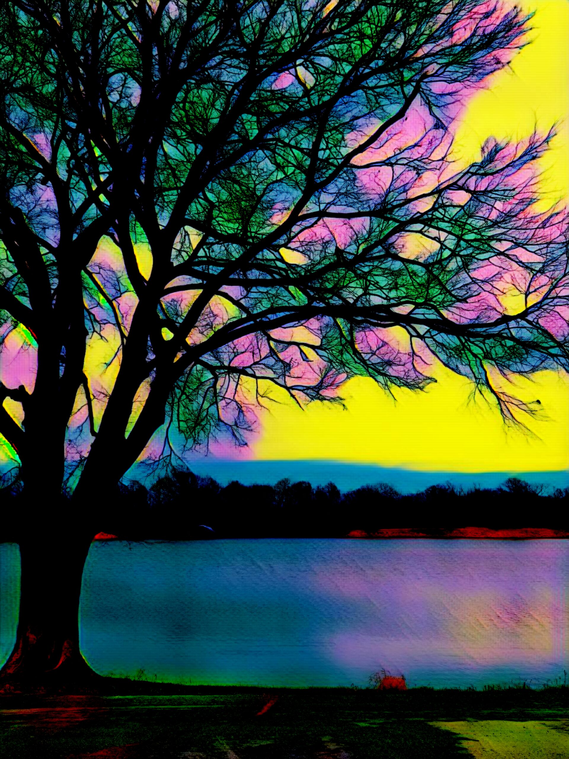 Picsart_25-01-01_18-38-50-899