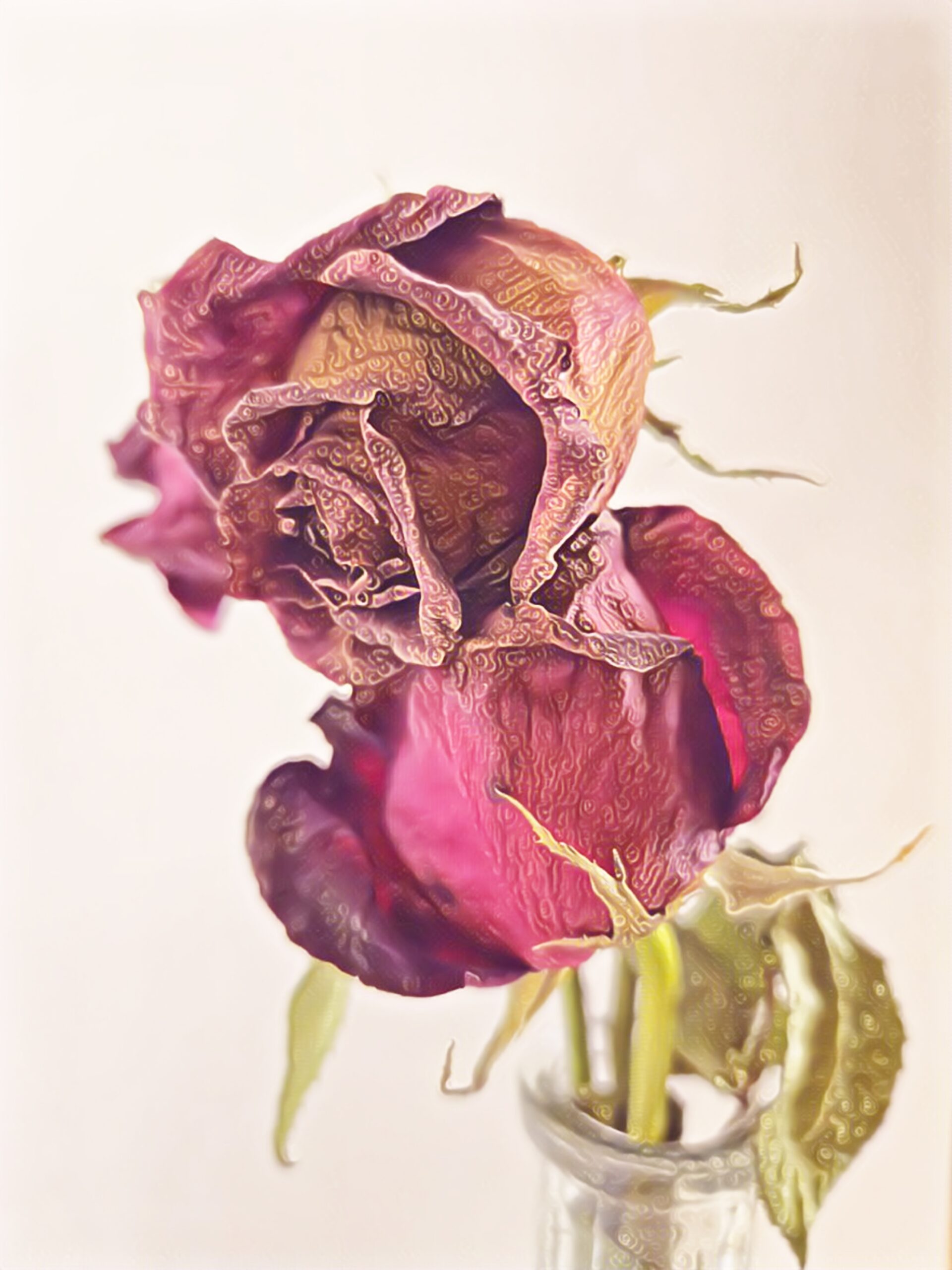 Picsart_25-02-13_12-12-12-629