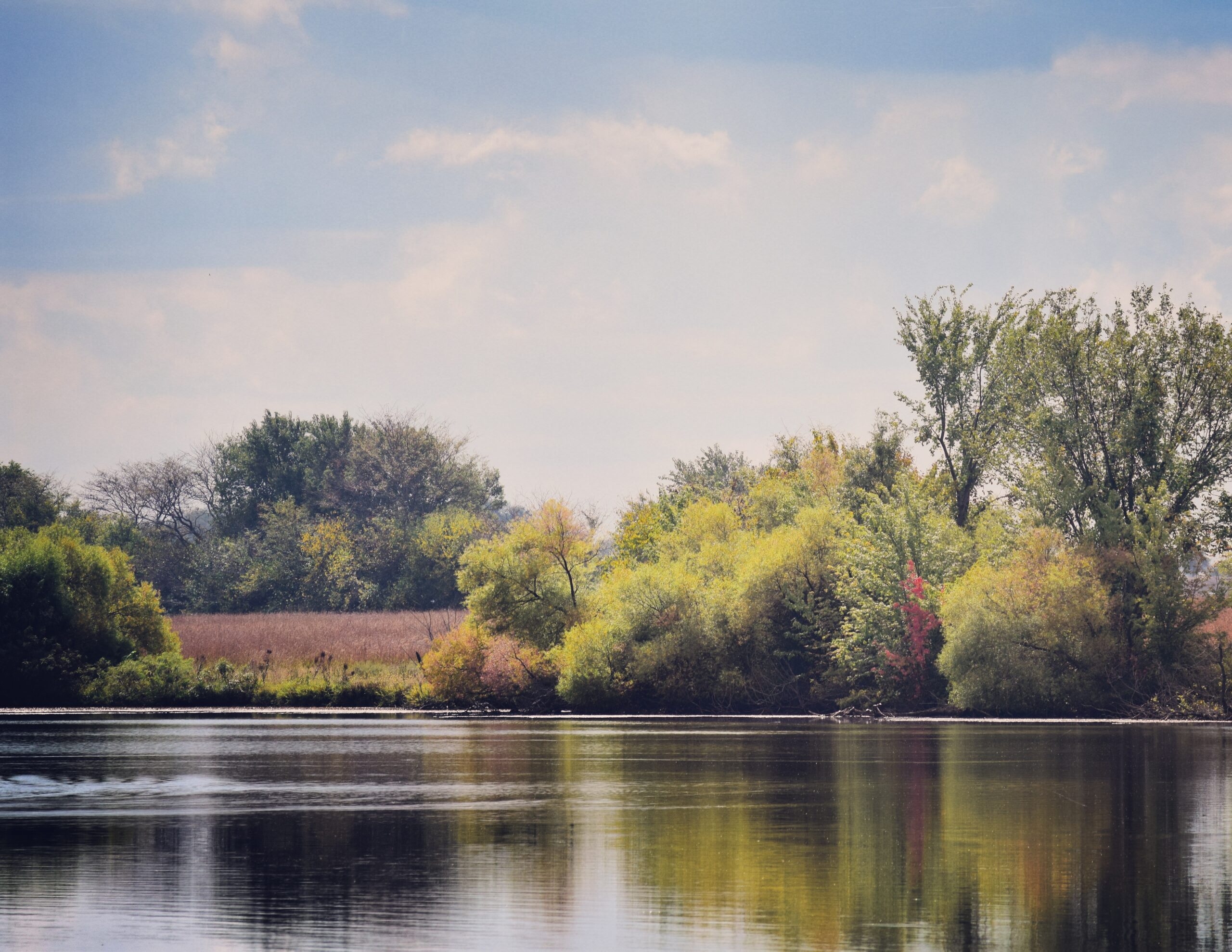 adrianlake