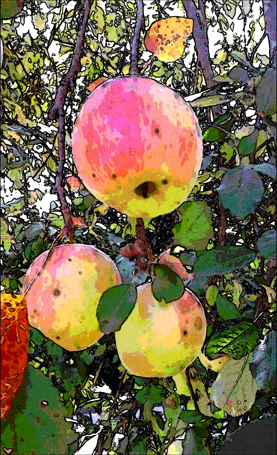 applesPicsArt_1409246980791