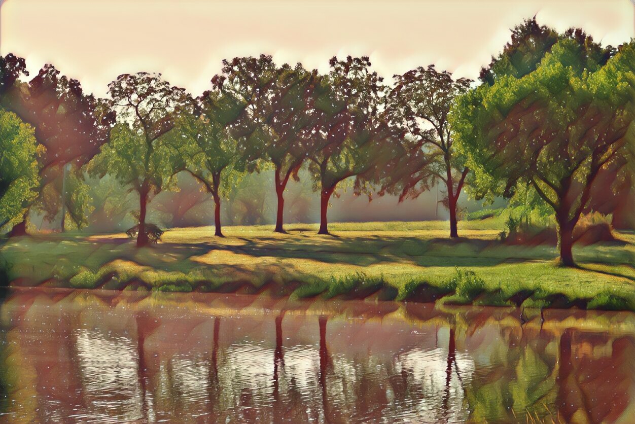 citylaketrees
