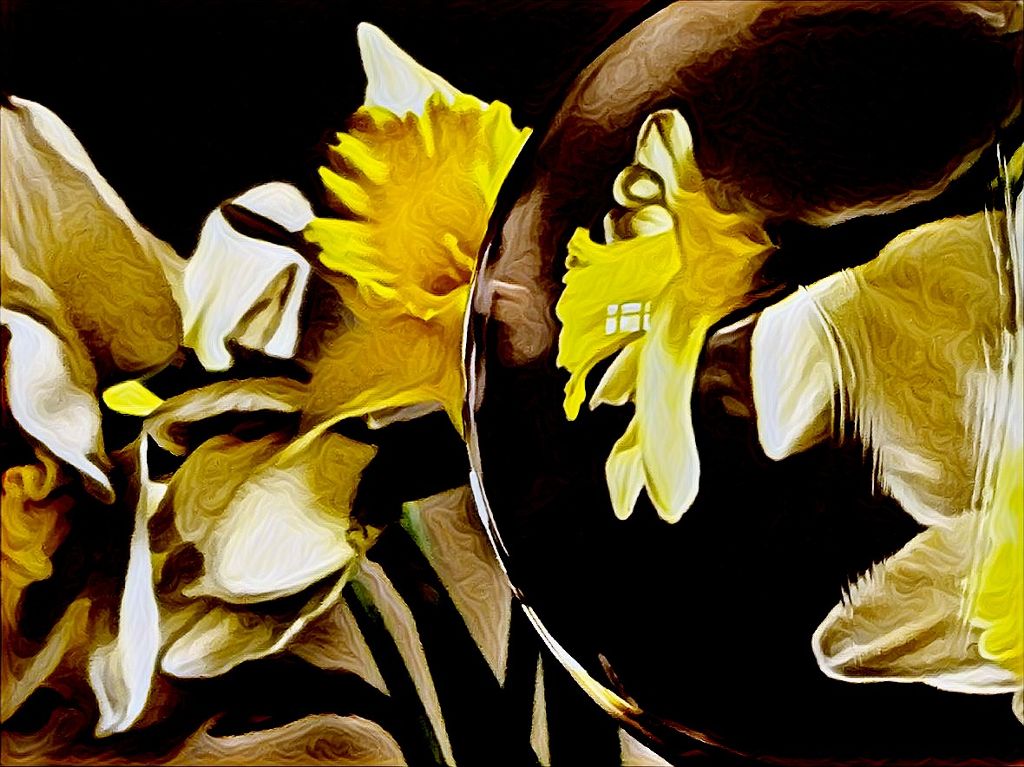 daffodilsglobe