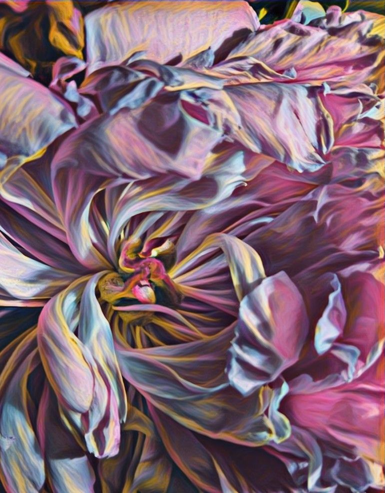 driedpeony