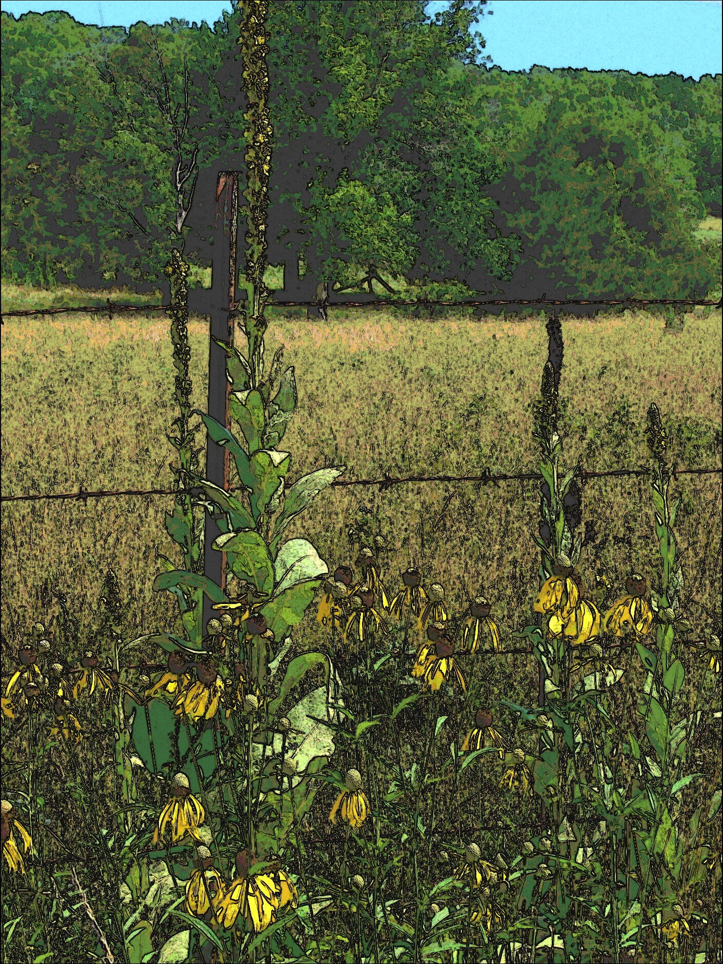 fieldPicsArt_1409967987530