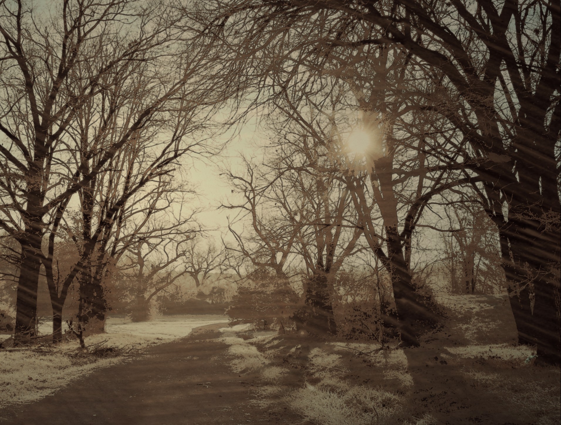 frost2