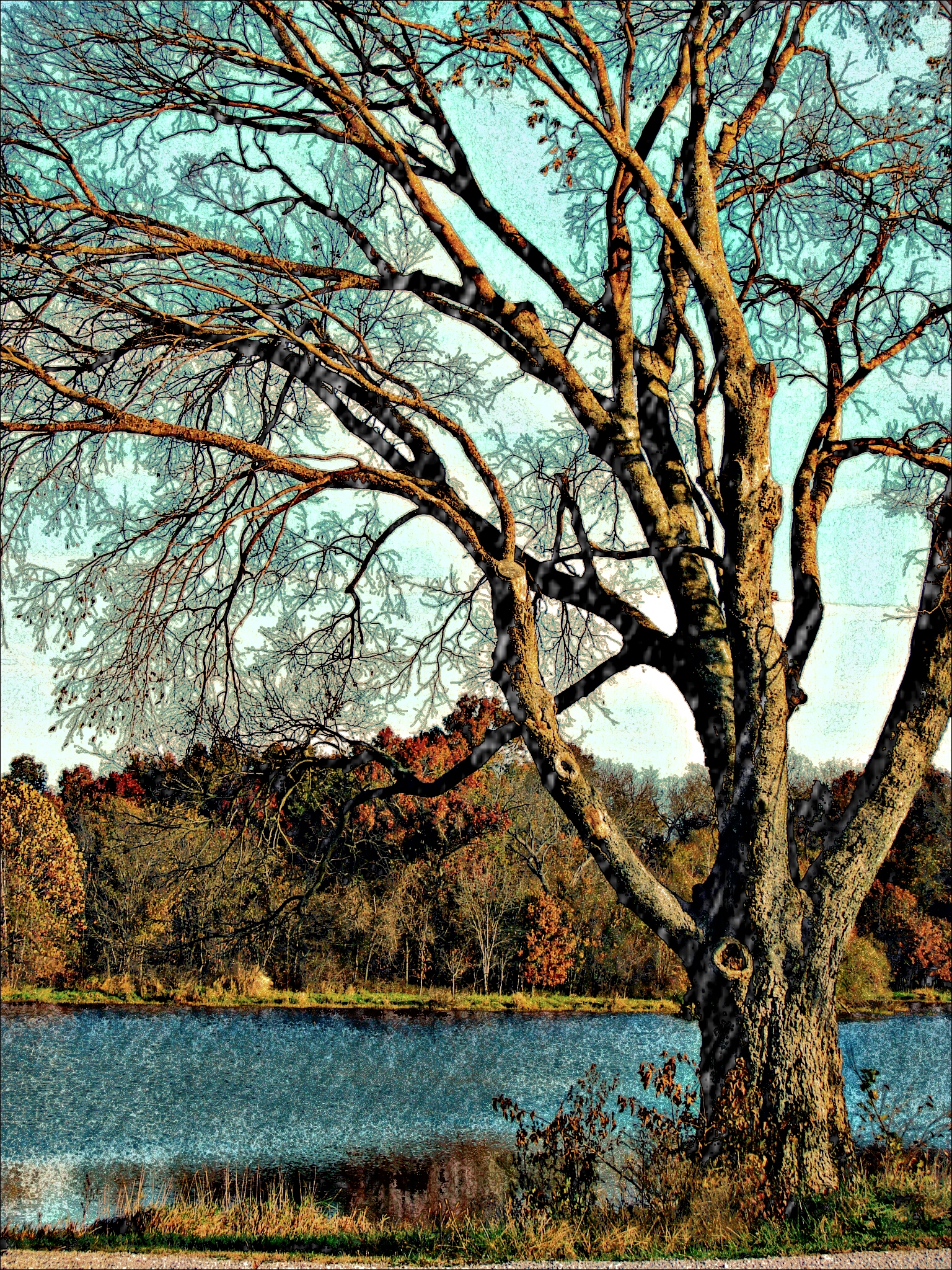 laketreePicsArt_1415892614700