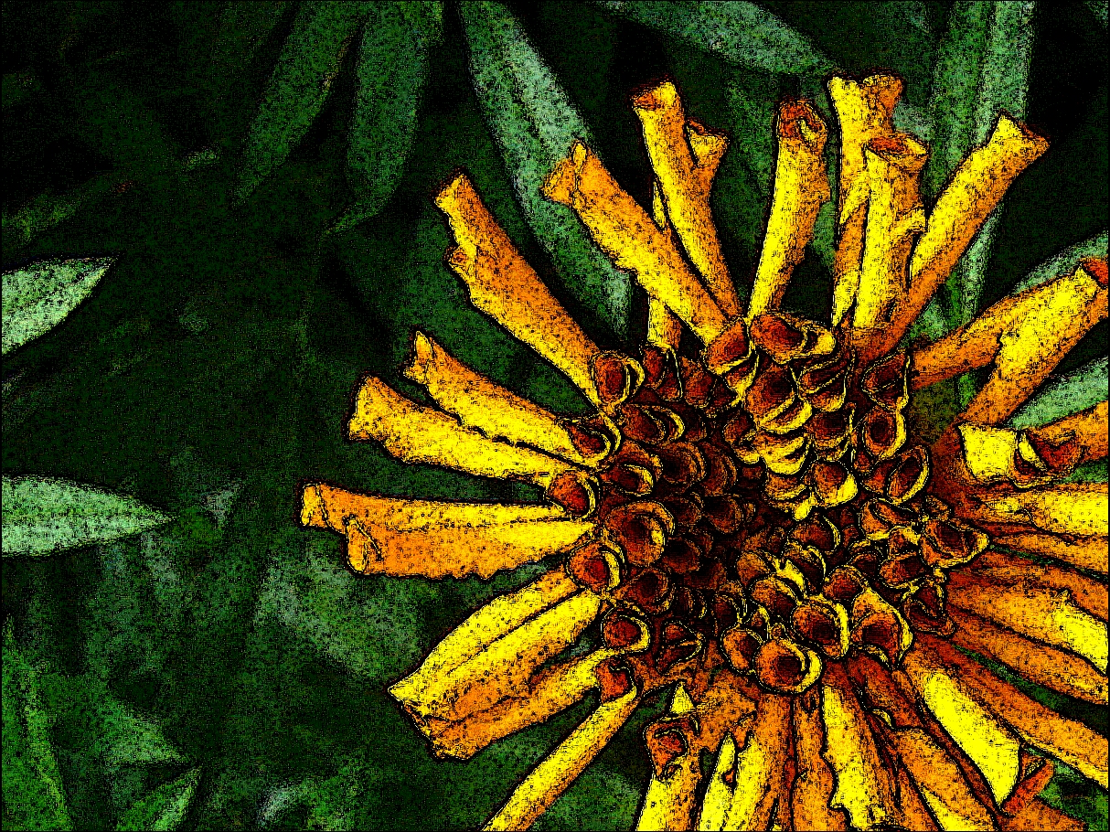 marigoldPicsArt_1411186944914