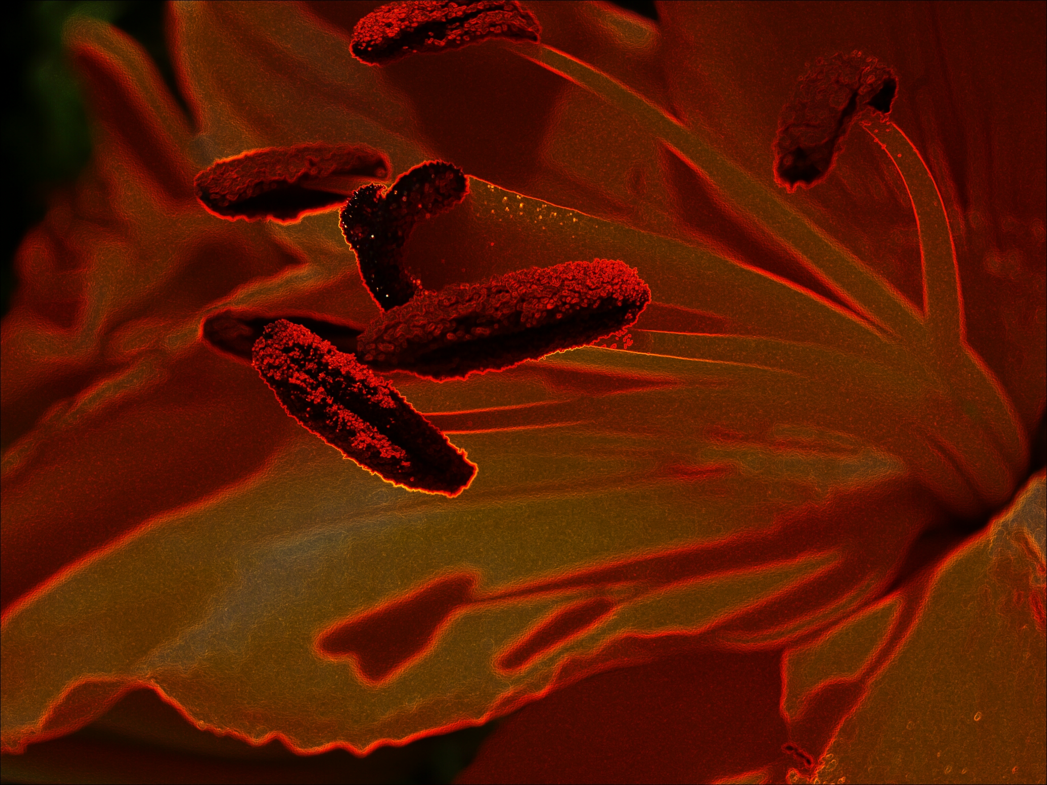otherlilyPicsArt_1413333154809