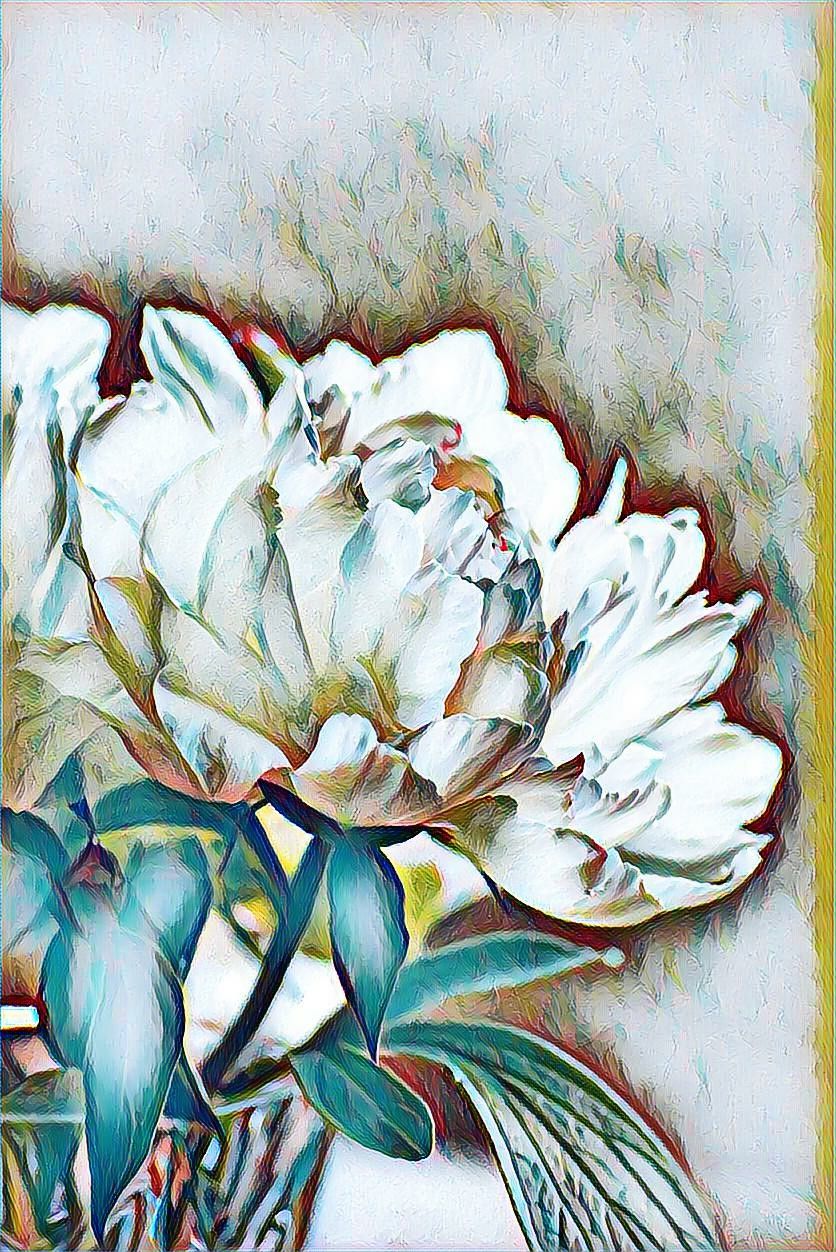 peonies
