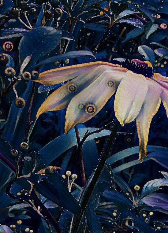 swirlydaisy