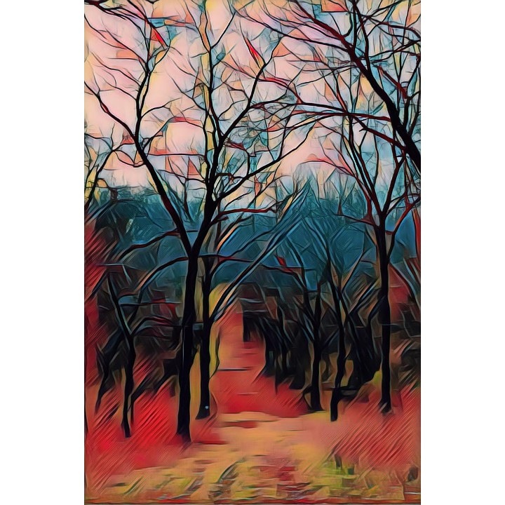 woodlandwalk